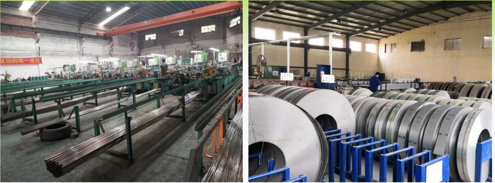 Porcellana Lief Technology Company Limited Profilo Aziendale